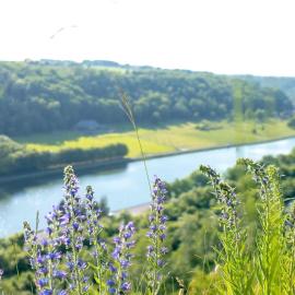 Retro getaway at the Meuse valley，位于Waulsort的酒店