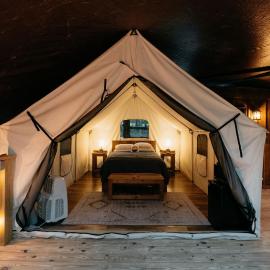 Treehouse Cozy Glamping Site，位于布兰森的酒店