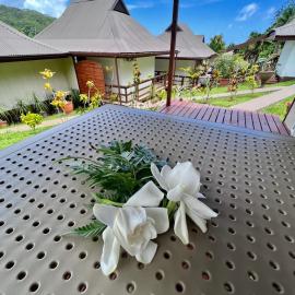 Rupe Rupe Lodge，位于乌图罗阿的酒店