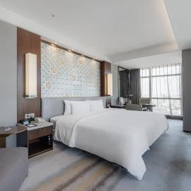 Hotel Nikko Suzhou，位于苏州的酒店