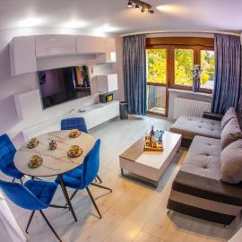 Apartament Książęcy przy Pałacu - klimatyzacja，位于扎甘的酒店