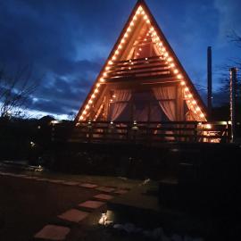 Cabana Apuseni Forest，位于Lunca的酒店
