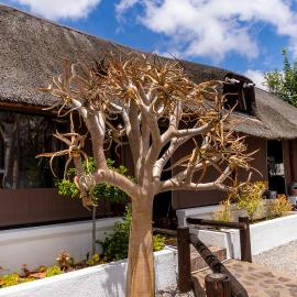 Kleinplasie Guesthouse，位于斯普林博克的酒店