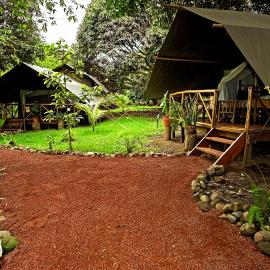 Expediciones Mexico Verde，位于Jalcomulco的酒店
