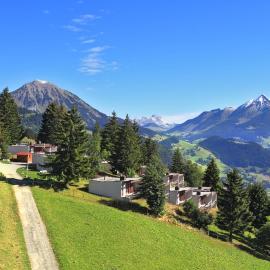 Leysin Lodge，位于莱森的酒店