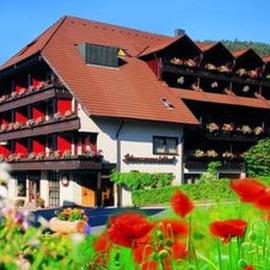 Hotel Schwarzwaldhof,位于恩茨克勒斯特勒的酒店