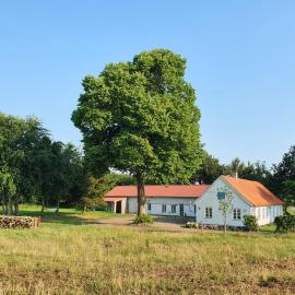 Slotsgaardens feriegård.，位于Jels的酒店