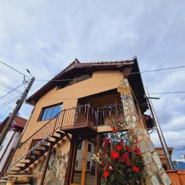 Pensiunea Sălaș，位于Sălaşu de Sus的酒店
