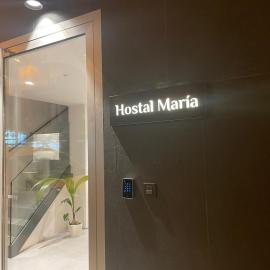 Hostal María，位于埃尔切的酒店