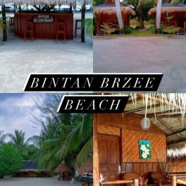 Bintan Brzee Beach in Bintan Island - Bungalow 4，位于博拉科特的酒店
