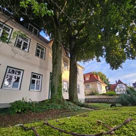 Patrizierhaus Altstadt am Brauhaus Zwiebel，位于索斯特的酒店