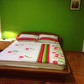 Guest House Šeperić，位于亚斯特雷巴斯科的酒店