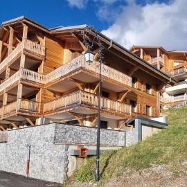 Les Chalets du Petit Châtel - Alp'in C，位于沙泰勒的酒店