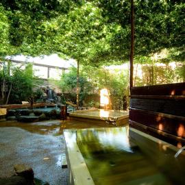Wellness Forest Ito