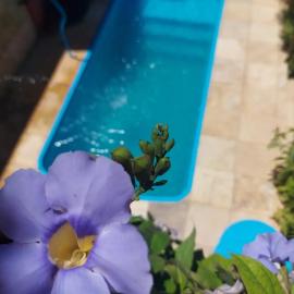 Casa Boa Venttura Alugueis - Casa com ar e piscina ou Quartos com ar e cozinha Guajiru Trairi