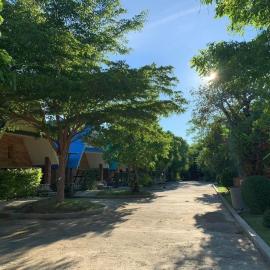 Pijittra Resort，位于程逸府的酒店