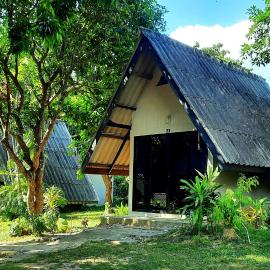 Cashewnut Tree Resort，位于高兰的酒店