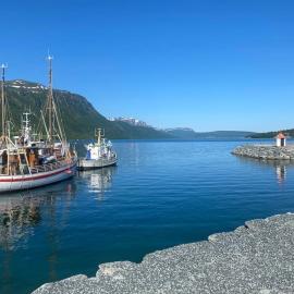 Malangen Arctic Sealodge Cabin 10，位于Meistervik的酒店