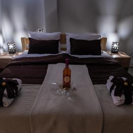 Smestaj & Spa Protić,位于沙巴茨的酒店