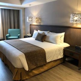 Hotel Metropol，位于墨西哥城的酒店