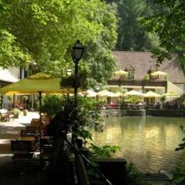 Waldhotel Silbermühle，位于霍恩-巴特迈恩贝格的酒店