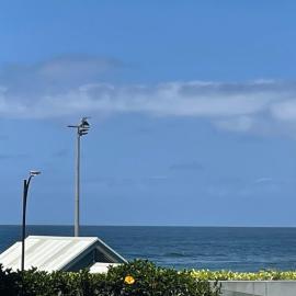 Shellharbour Haven，位于蚬壳港的酒店