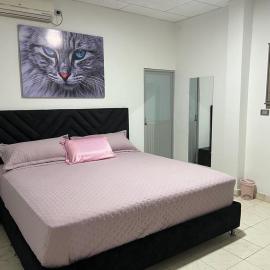 Hotel COOL HOUSE 24Horas，位于阿劳卡的酒店