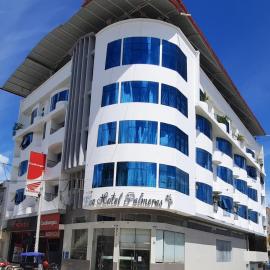 Gran Hotel Palmeras，位于哈恩的酒店