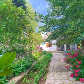 Forest cottage top of the world，位于Vourgareli的酒店