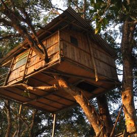 Pemsee's Tree Town - Eco Treehouse Hostel，位于索拉哈的酒店