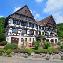 RelaxHotel Tannenhof，位于萨巴赫瓦登的酒店