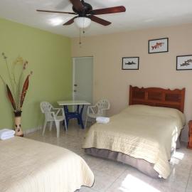 Las Palapas de Punta Allen，位于蓬·艾伦的酒店