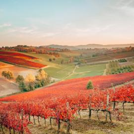 Agriturismo Opera 02，位于卡斯泰尔韦特罗迪莫德纳的酒店