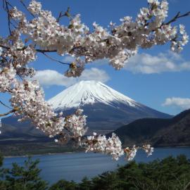 本栖湖畔 民宿 浩庵 Kouan guesthouse at Lake Motosu，位于富士河口湖的酒店