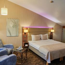 Olympus Hotel，位于考纳斯的酒店