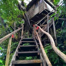 Castle Tree House And Bungalow，位于White Sands的酒店