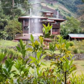 Los Quetzales Ecolodge & Spa,位于塞罗蓬塔的酒店