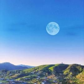 Cabin 7000 feet - A cozy Mountain View retreat in Nuwara eliya，位于努沃勒埃利耶的酒店