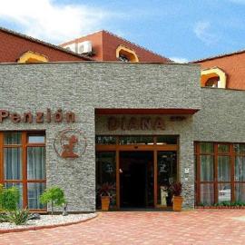 Penzion Diana,位于皮耶什佳尼的酒店