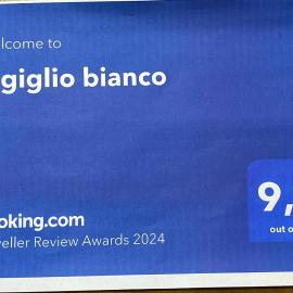 Il giglio bianco