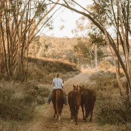 San Diego Trail Guest Ranch，位于波威的酒店