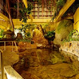 水と緑のやすらぎの宿　一の瀬，位于三岛市的酒店