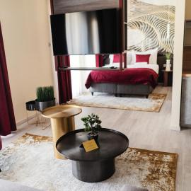 RIVA Boutique Hotel，位于塞格德的酒店