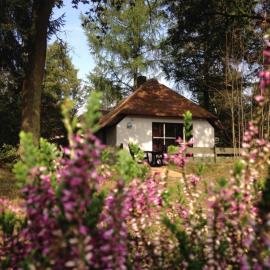 Tiny House de Berken，位于奥特罗的酒店