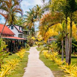 Plantage Resort Frederiksdorp，位于帕拉马里博的酒店