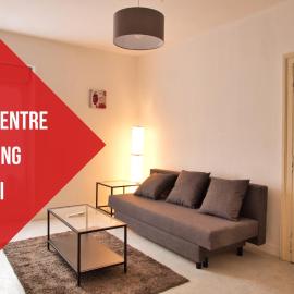 Appartement hypercentre au 2ème, ZOO - 24h du Mans，位于拉弗雷切的酒店