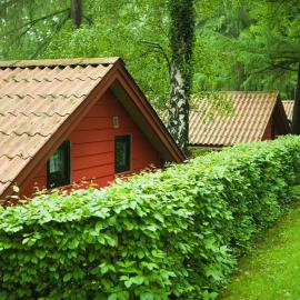 Waldidylle - Bungalows an der Talsperre Kriebstein，位于Kriebstein的酒店