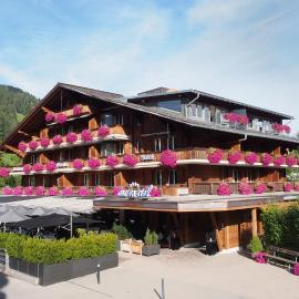 Hotel Arc-en-ciel Gstaad，位于格施塔德的酒店