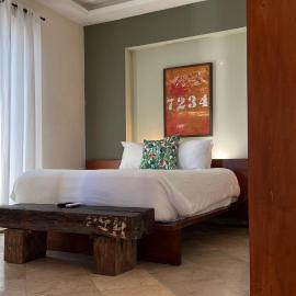 LUCA HOTEL Heritage Residences Signature Collection，位于圣多明各的酒店