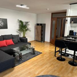 Apartment „Slow Horses“,位于莱比锡的酒店